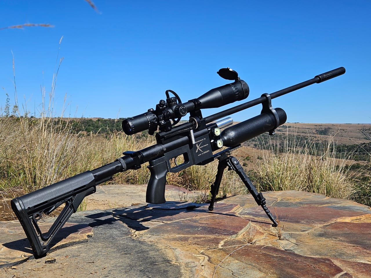 Black Widow PCP .22